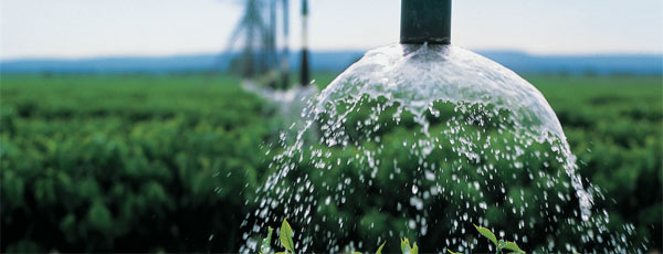 lepa irrigation system