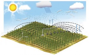 transpiration and pivot irrigation
