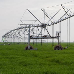 irrigation efficiency minimize water losses