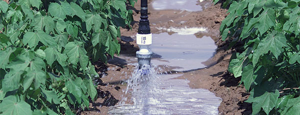 runoff under low pressure central Pivot irrigation